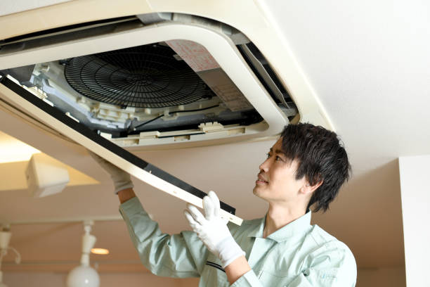 Best Local Air Duct Cleaning Services  in Whitinsville, MA